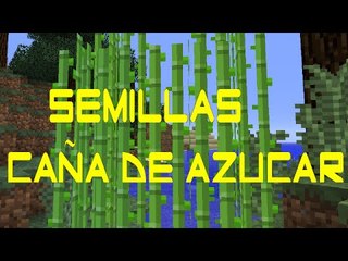 Donde conseguir semillas caña azucar en Minecraft tutorial
