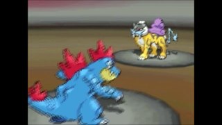 Raikou - Pokémon Power Bracket