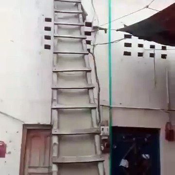 funny laughing baby videos, babies laughing