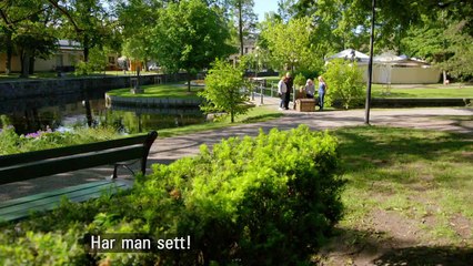 Allt för Sverige 2015 - episode 8/8 - S05E08