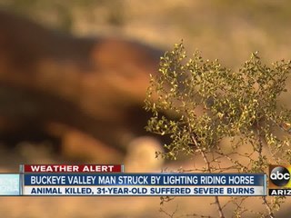 Man in critical condition, horse killed after lightning strike