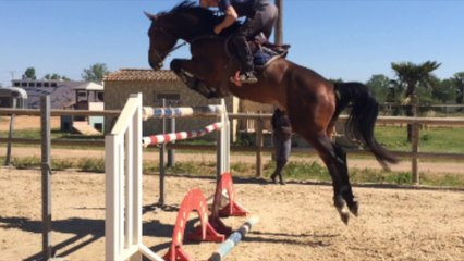 6ans Petite fille Heartbreaker et mère Concerto x Contenter