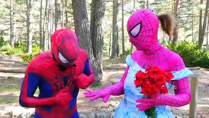 SPIDERMAN vs FROZEN ELSA vs VAMPIRE PRANKS! w_ Pink Spidergirl & Maleficent Dolls in Real Life _)