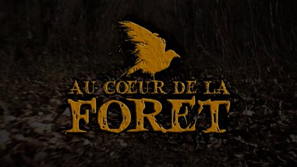 AU COEUR DE LA FORET