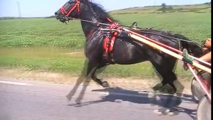 Hey Maşallah Bu Nasıl Bir Hızdır Böyle!