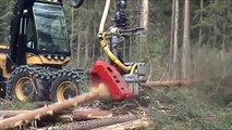 Harvesting Head Log Max 5000D on Eco Log 560C