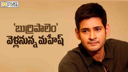 Mahesh Babu Going To Burripalem On May 8th - Filmyfocus.com