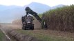 sugar cane harvester in australia