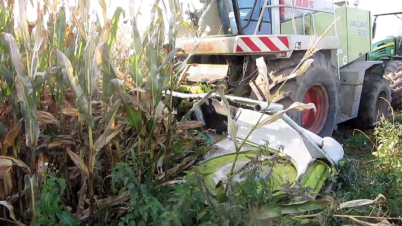 Loonbedrijf Goeminne mais hakselen 2011 met claas jaguar 900