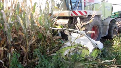 Loonbedrijf Goeminne mais hakselen 2011 met claas jaguar 900