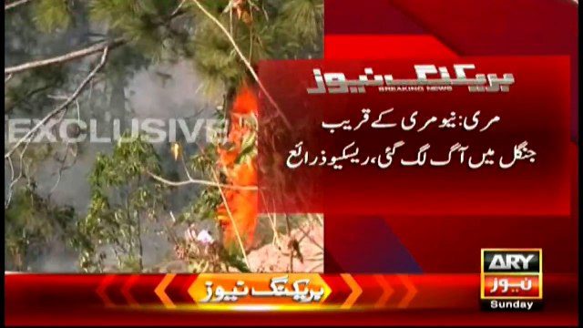 Fire erupts at forest near new murree