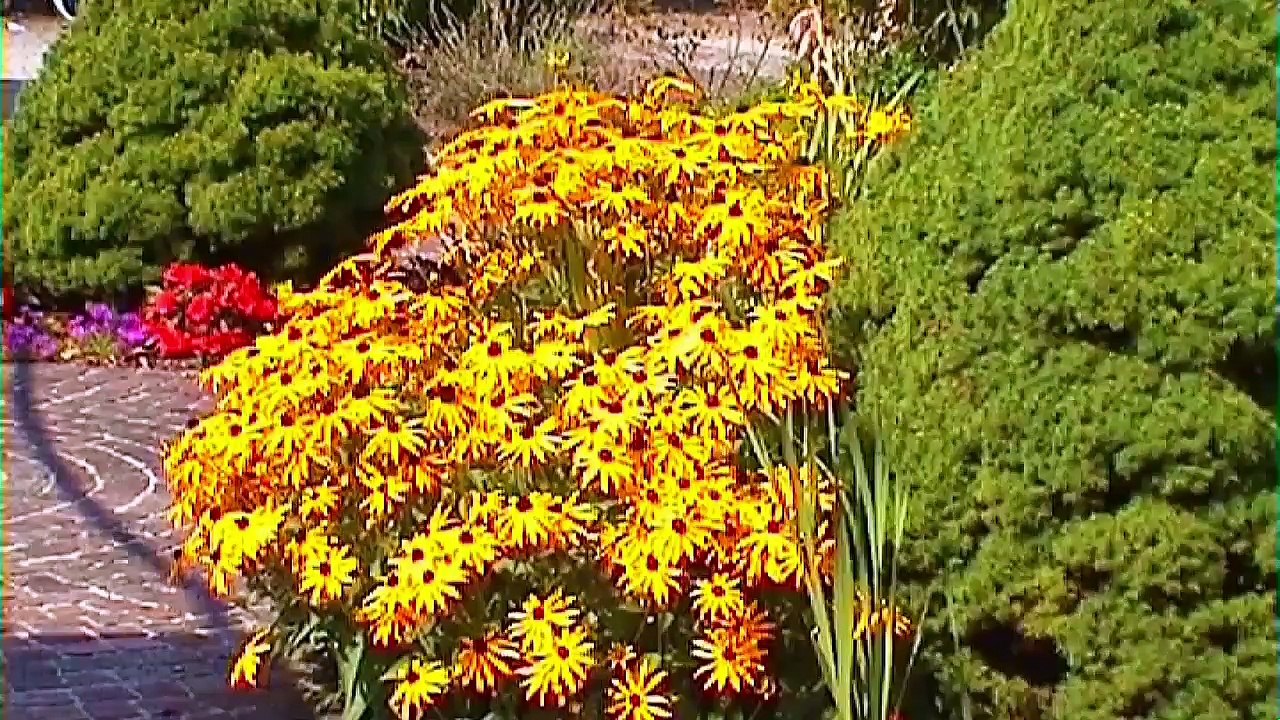 Füssen an der Romantischen Straße