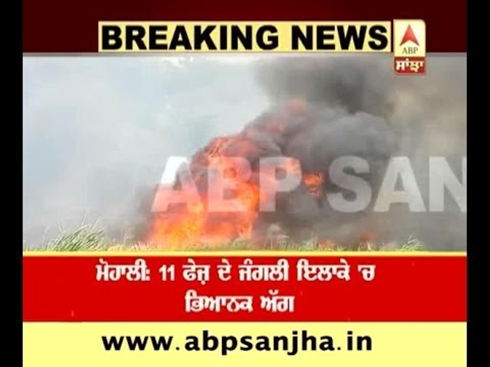 Mohali: Massive fire in Phase-11