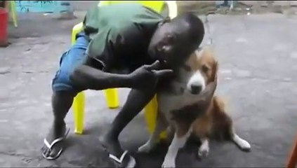 Approcher son visage d'un chien... Mauvaise idée