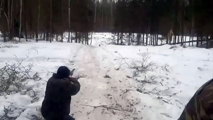 КАБАНЧИК ЖЖЕТ или как ОХОТНИК УДИРАЕТ от Пятачка!