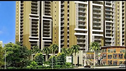 Amrapali Group in Noida