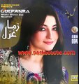 Pashto Gul Panra New Album Song 2013 Zama Ghazal Khaist Da Gul Makhono Khpal _ Tune.pk