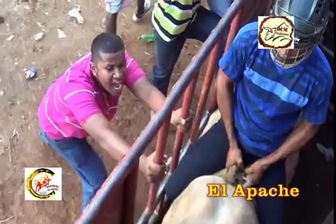 Ganadera El Jagüe en Monagrillo 2013