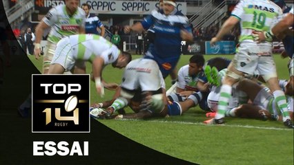 TOP 14 – Castres – Pau: 37-6 Essai de David SMITH (CAS) – J22 – Saison 2015-2016