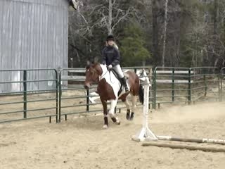 petit trot