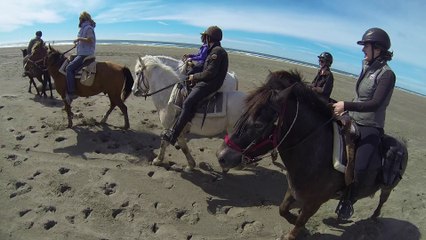 Rando Camargue avril 2016