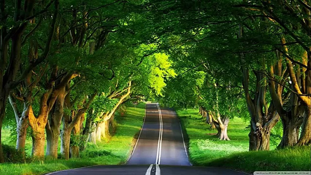 Liên khúc nhạc trẻ remix | Lk nhạc mưa phi trường | Nonstop | Tuyển Tập nhạc trẻ