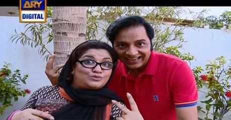 Bulbulay Episode 397 on Ary Digital in High Quality 1st May 2016