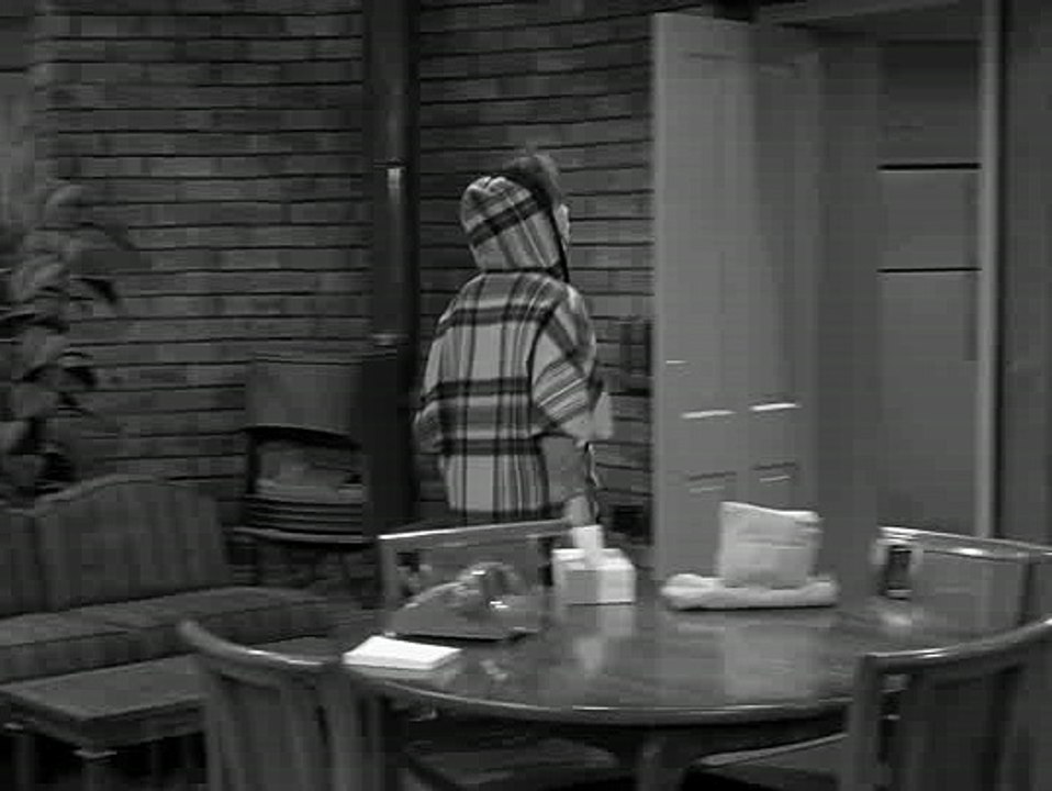 The Dick Van Dyke Show S05e30