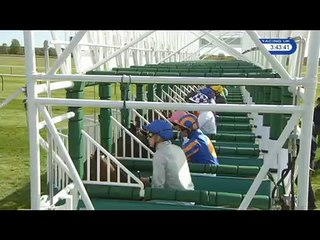 1000 GUINEAS STAKES, G1, NEWMARKET (UK), 2016-05-01
