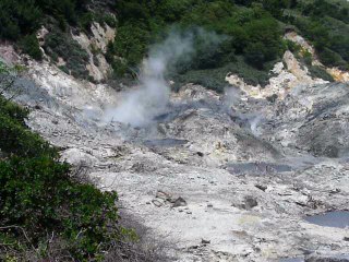 ST. LUCIA  065 P1080691