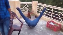 Ha Ha Chair Pulling Lolzzz-Funny Videos-Whatsapp Videos-Prank Videos-Funny Vines-Viral Video-Funny Fails-Funny Compilations-Just For Laughs