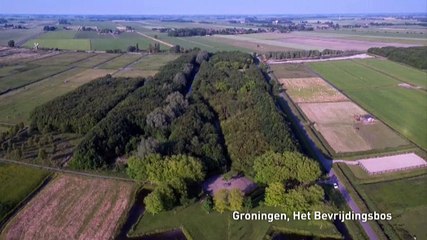 Oorlogsmonumenten: het Bevrijdingsbos in Groningen - RTV Noord