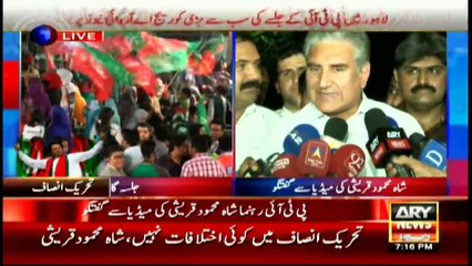 There are no differences amongst PTI leaders: Quraishi