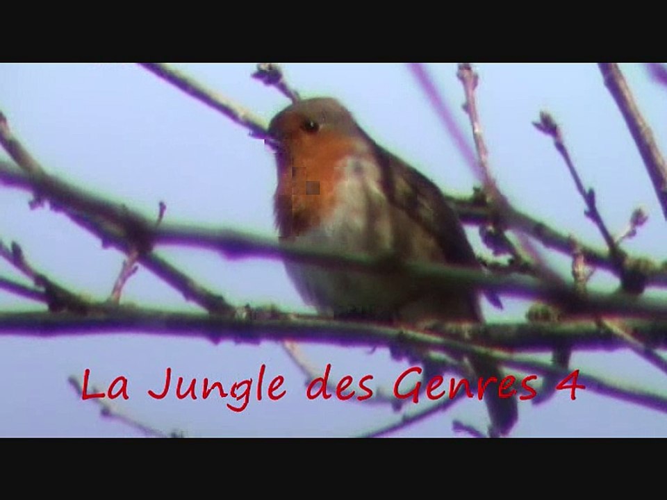 La Jungle des Genres 4 (-fe-ge)