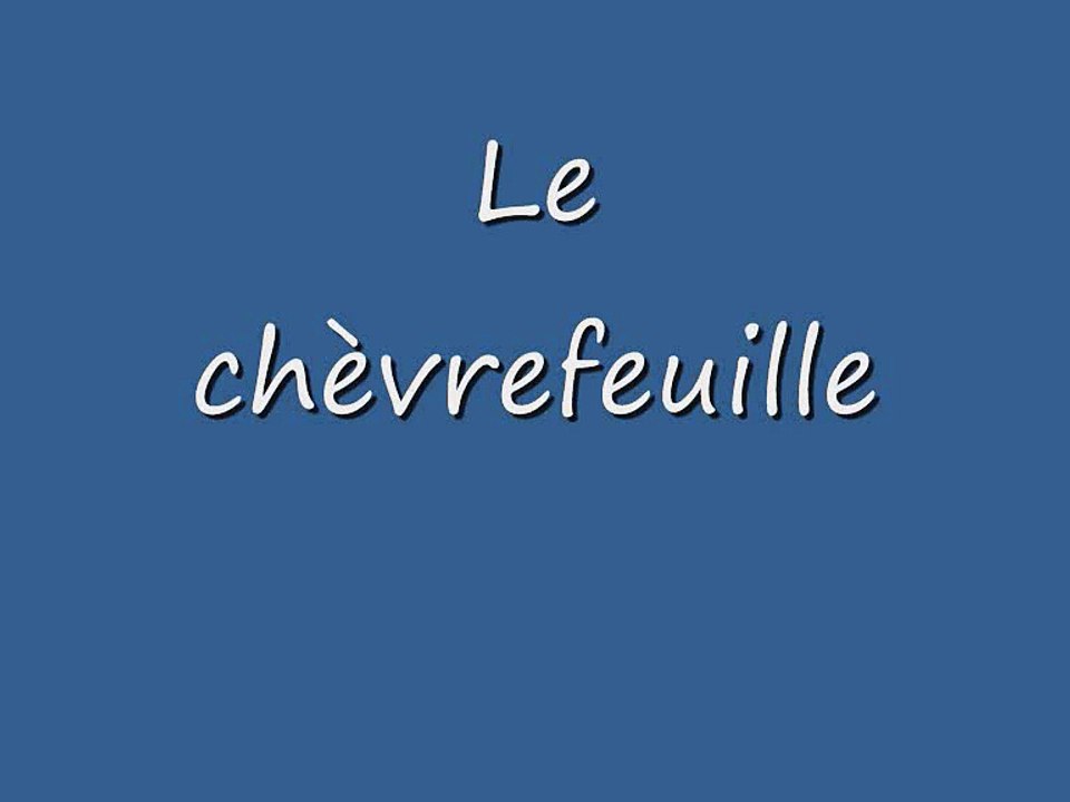 La Jungle des Genres 6 (-le)