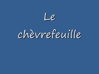 La Jungle des Genres 6 (-le)