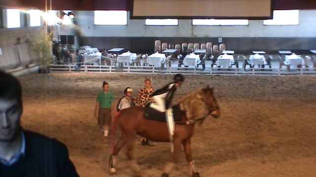 Le club le petit sam en sorti au haras d'Uzès pour un concours de spectacle equestre