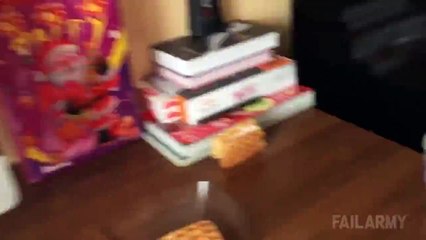 Voici la vidéo la plus drôle que vous verrez aujourd'hui  !