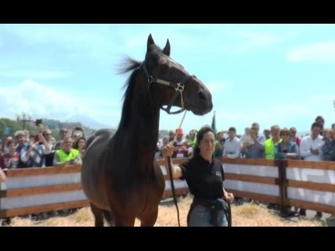 Napoli - Varenne, il Maradona dell'Ippica sul Lungomare (30.04.16)