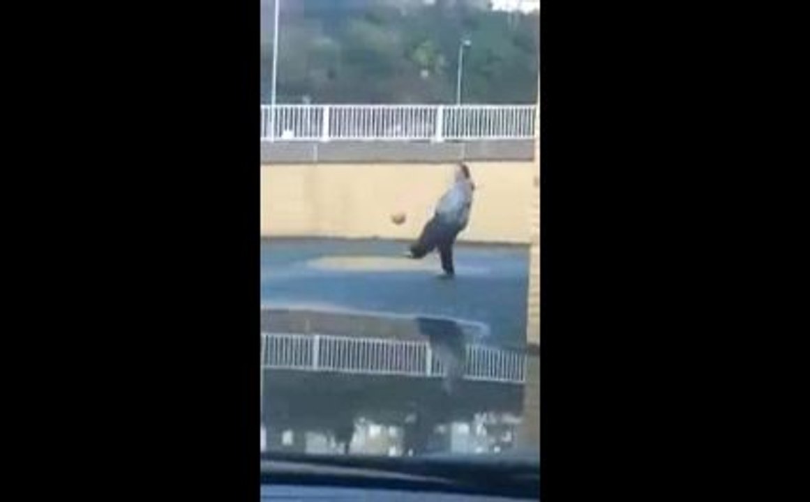 Funny Fat Footballer-Funny Videos-Whatsapp Videos-Prank Videos-Funny Vines-Viral Video-Funny Fails-Funny Compilations-Just For Laughs