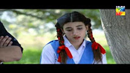 Udaari Episode 4 Full Hum TV Drama 01 May 2016