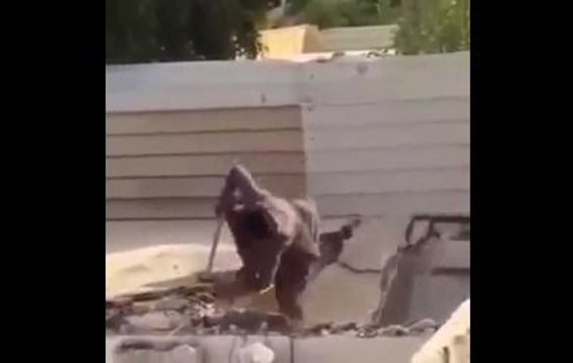 Ha Ha Funny Falling Off Video-Funny Videos-Whatsapp Videos-Prank Videos-Funny Vines-Viral Video-Funny Fails-Funny Compilations-Just For Laughs