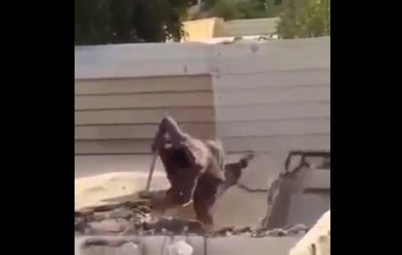 Ha Ha Funny Falling Off Video-Funny Videos-Whatsapp Videos-Prank Videos-Funny Vines-Viral Video-Funny Fails-Funny Compilations-Just For Laughs