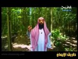 قصص الأنبياء الحلقة 24 - قصة سيدنا سليمان وبلقيس