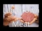 The Future Belongs to Lab Grown Meats