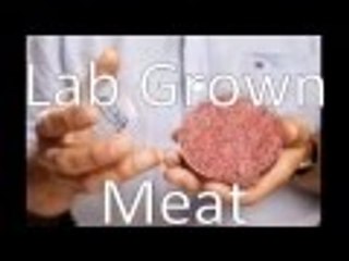 The Future Belongs to Lab Grown Meats