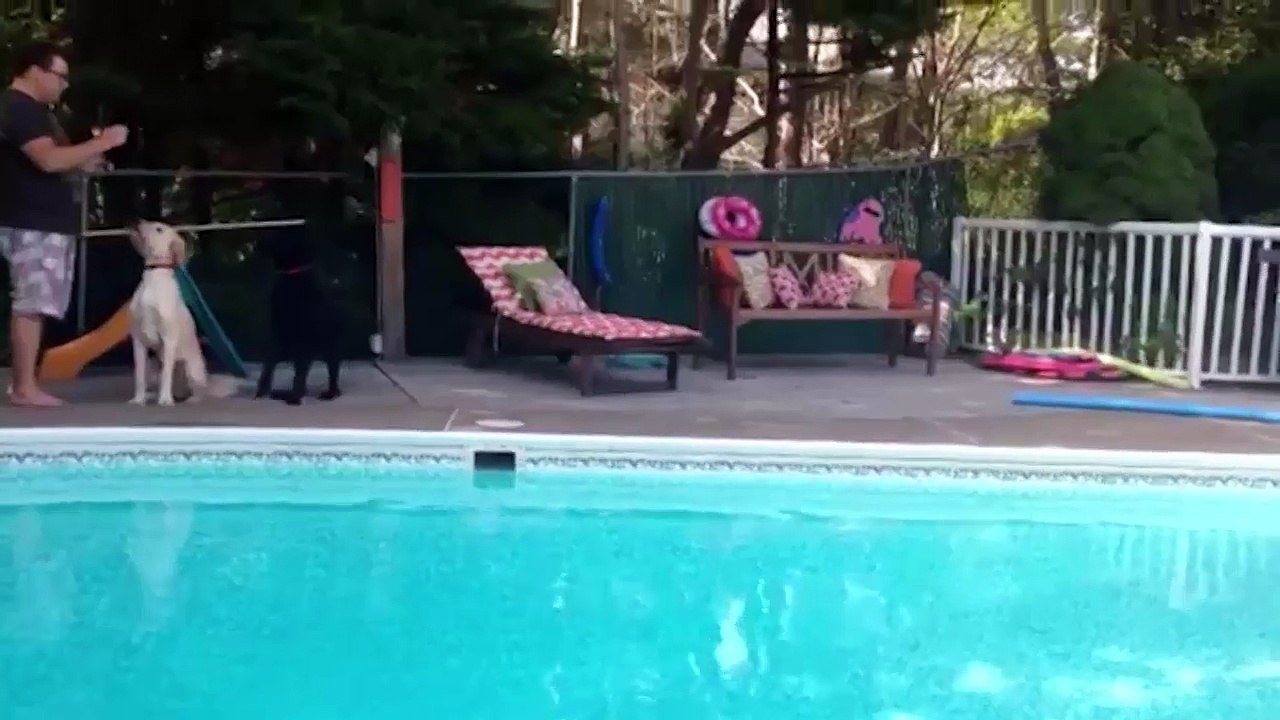 Woman Falls Into Pool