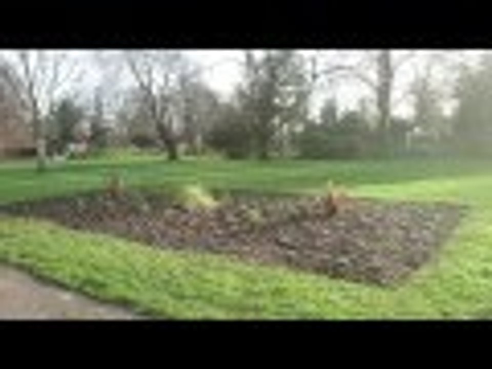 South Park #Redbridge #SouthPark #Nature #Wild #Travel