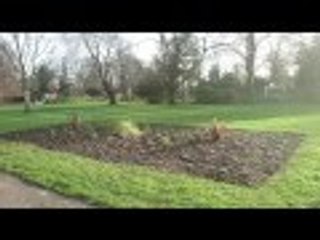 South Park #Redbridge #SouthPark #Nature #Wild #Travel