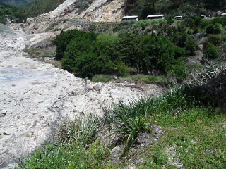 ST. LUCIA 062 P1080688